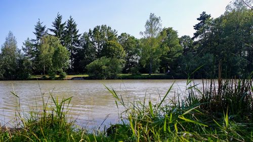 Scenic view of lake against sky