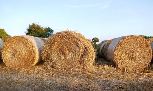 Hay bales on field against sky