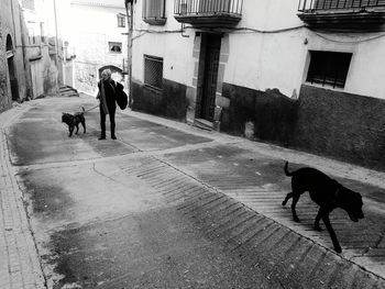 Man and dog walking on wet street