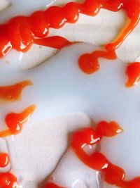 Close-up of red tomatoes