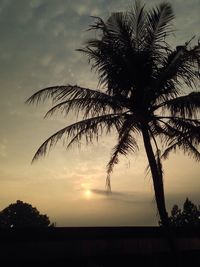 Silhouette of palm trees at sunset