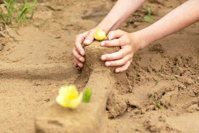 A child builds sand castles on the beach in the summer. sea tour. child's hands in the sand. 