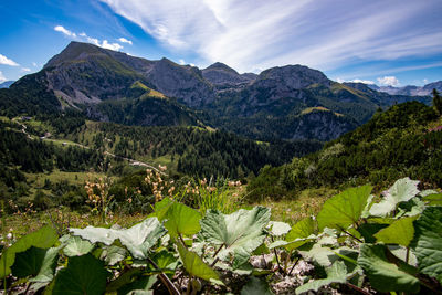 Scenic view of mountains against sky