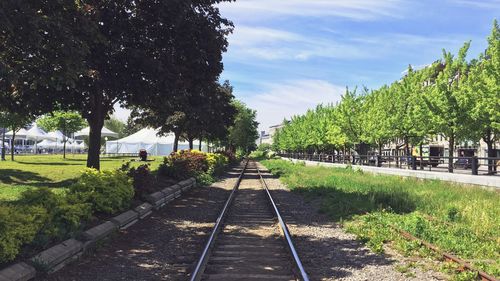 Railroad tracks amidst trees against sky