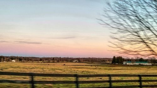 Scenic view of field against sky at sunset