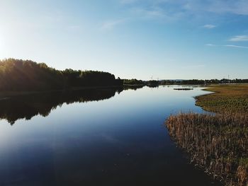 Reflection of trees in calm lake