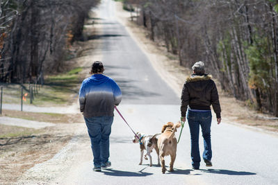 Rear view of man walking with dog on footpath