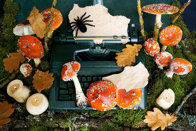 Fly agaric mushrooms are located on a retro typewriter and around on green moss.