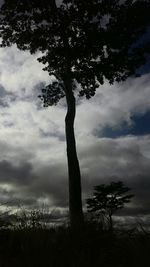 Bare trees against cloudy sky