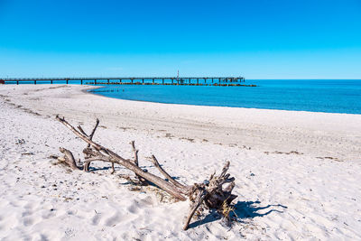 Scenic view of beach against blue sky