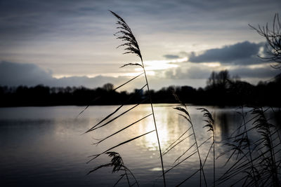 Scenic view of lake against sky during sunset