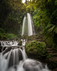 Waterfall in forest