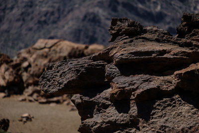 Close-up of rock on land against sea