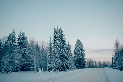 Winter landscape snowy trees blue sky