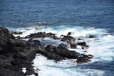 Sea waves splashing on rocks