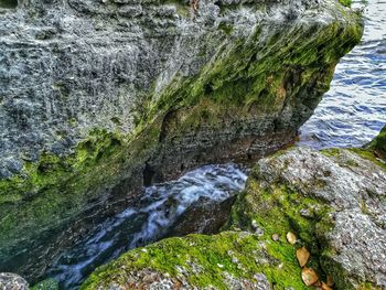 Scenic view of waterfall