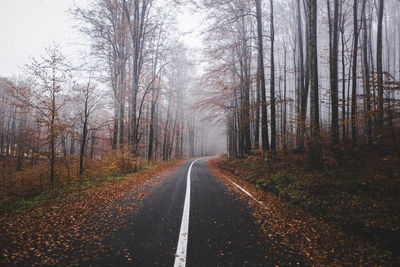 Road amidst trees in forest