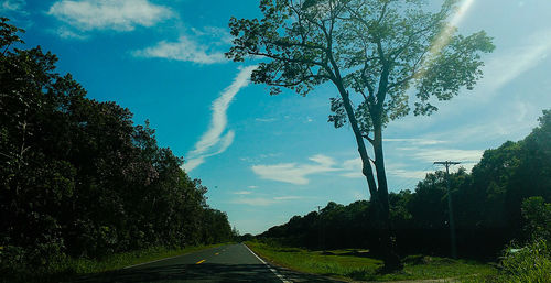 Road amidst trees against sky