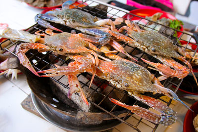 High angle view of meat in container