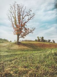 Scenic view of grassy field against cloudy sky