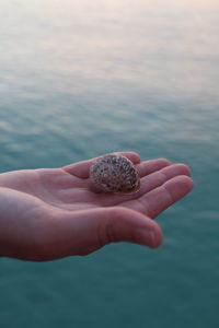 Close-up of hand holding shell over sea