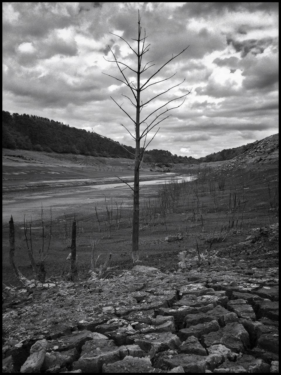 sky, bare tree, tranquil scene, cloud - sky, transfer print, tranquility, landscape, scenics, auto post production filter, nature, cloud, cloudy, tree, rock - object, beauty in nature, non-urban scene, day, remote, outdoors, stone