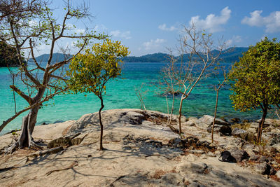 Scenic view of sea against sky