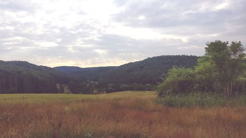 Scenic view of landscape against sky