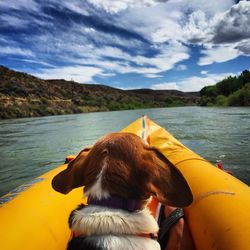 A dog plays captain in a kayak floating down the rio grande river. 