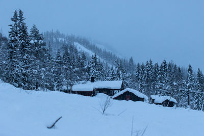 Snow covered trees and houses against sky during winter