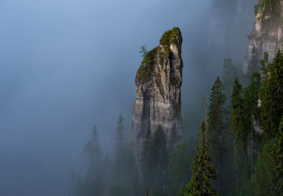 Trees on mountain against sky