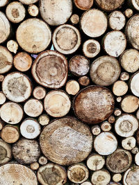 Full frame shot of logs in forest