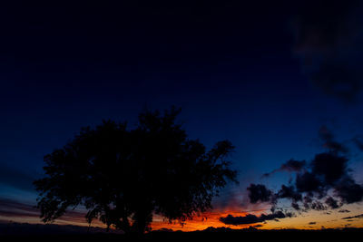 Low angle view of silhouette trees against sky at sunset