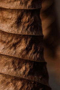 Close-up of stack of wood