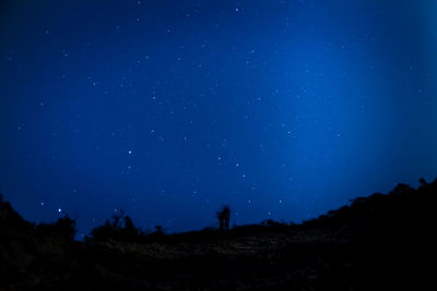 Low angle view of trees against sky at night