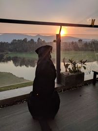 Rear view of silhouette man in lake against sunset sky