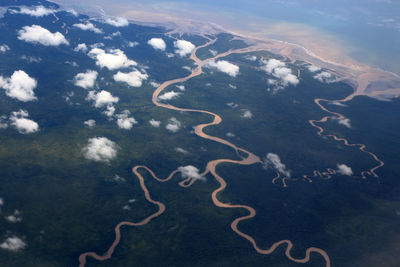 High angle view of jellyfish