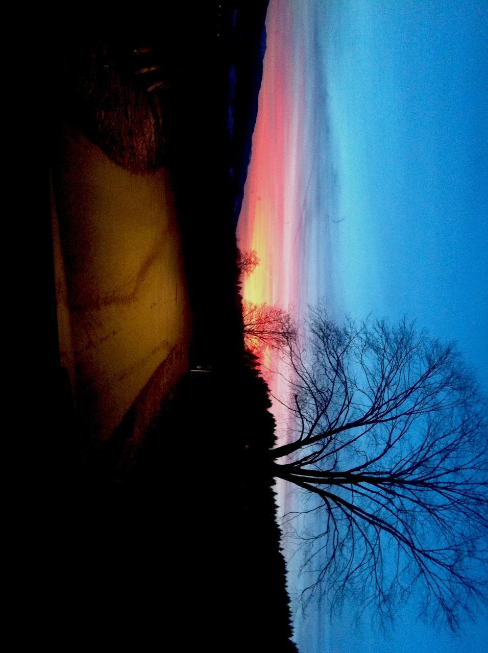 silhouette, tranquility, tree, tranquil scene, sunlight, bare tree, beauty in nature, sun, nature, clear sky, scenics, blue, sunset, branch, sunbeam, outdoors, copy space, no people, sky, shadow