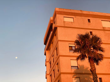 Low angle view of palm tree and building against sky during sunrise