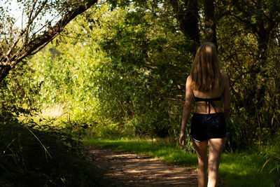 Rear view of woman walking on footpath in forest