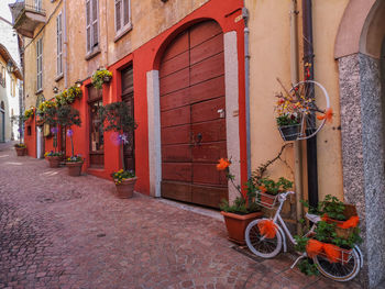 Beautiful street in the historic center of luino with flowers, lavender and porphyry