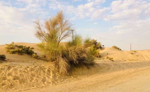 Scenic view of desert against sky