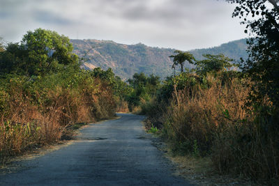 Road amidst trees against sky