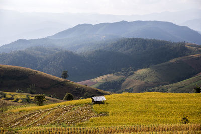 Scenic view of agricultural field against mountains