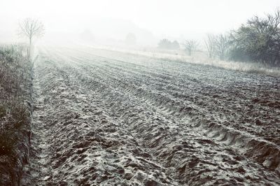 Scenic view of field against sky during foggy weather