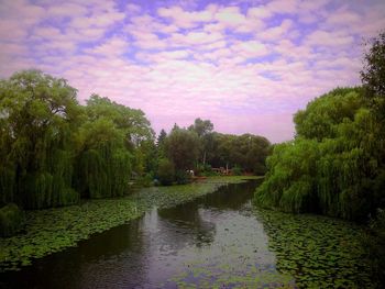 Scenic view of river against cloudy sky