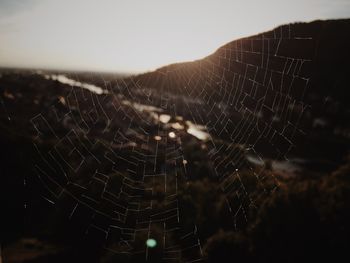 Close-up of spider web against blurred background