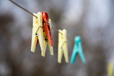 Close-up of multi colored clothespins hanging on rope