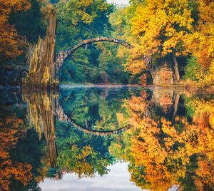 Scenic view of lake in forest during autumn