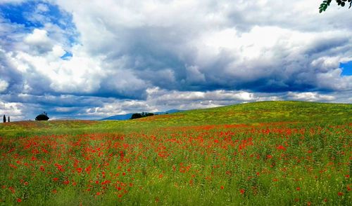 Scenic view of field against cloudy sky